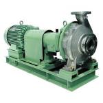 Foot Support Volute Pump (GS/GF)