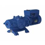 Progressive Cavity Pumps